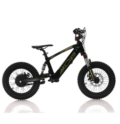 AZONIC Flow 16 (AZF-16) - Electric Balance Bike