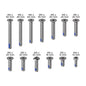 QUAD LOCK Replacement Screw Set - V2
