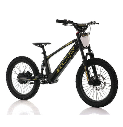 AZONIC Flow 20 (AZF-20) - Electric Balance Bike